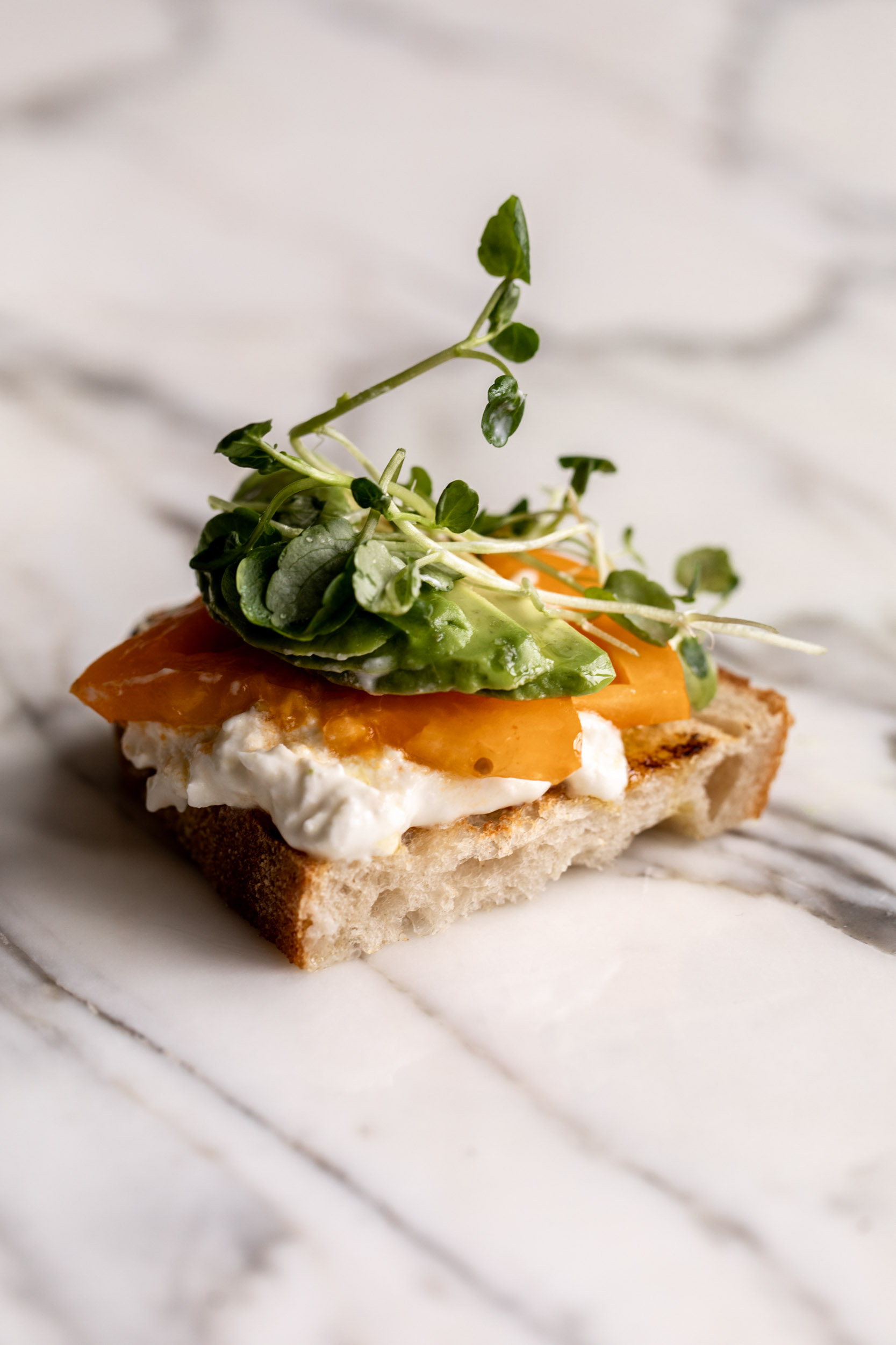 slice of crostini Heirloom Tomato, Avocado & Burrata.