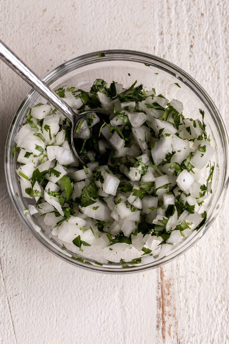 chopped onion and cilantro simple salsa.