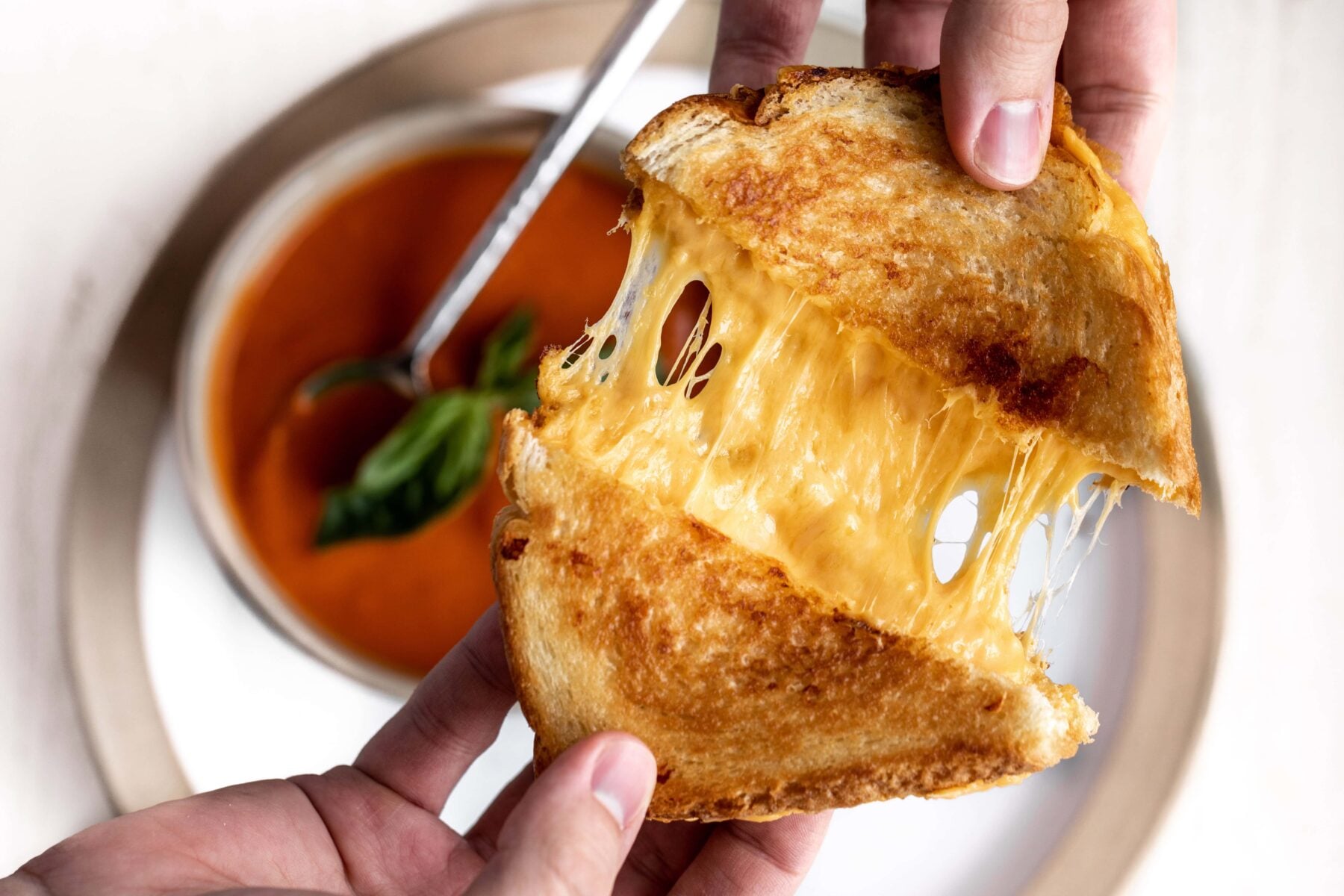 Best Cheeses for Grilled Cheese Sandwich.
