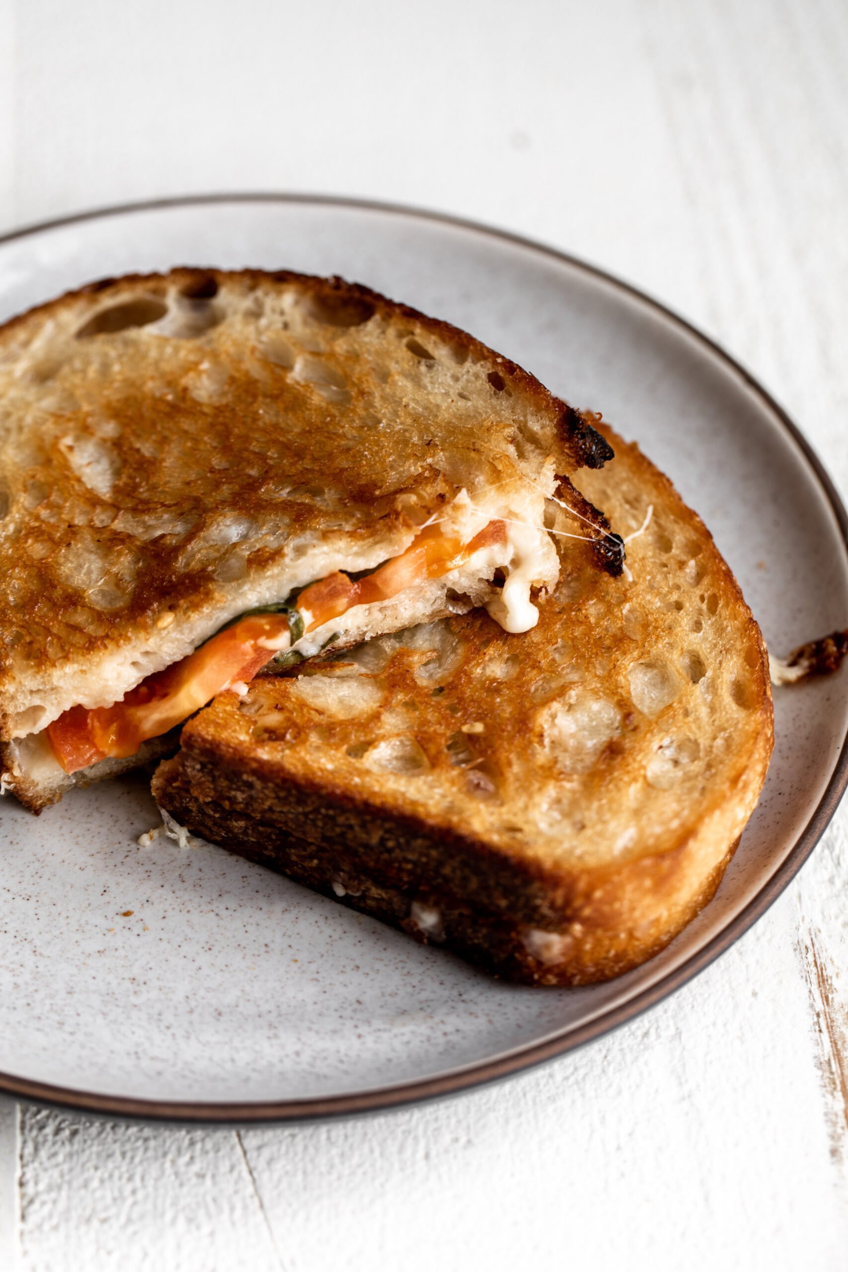 12 Best Cheeses for Grilled Cheese Sandwich