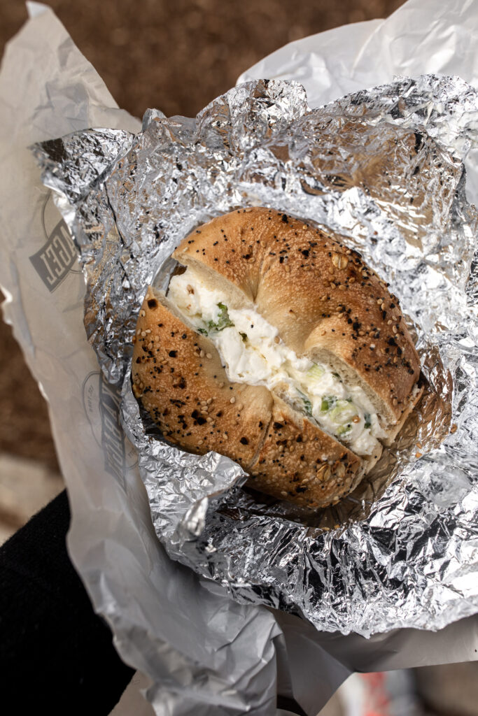 pick a bagel everything bagel