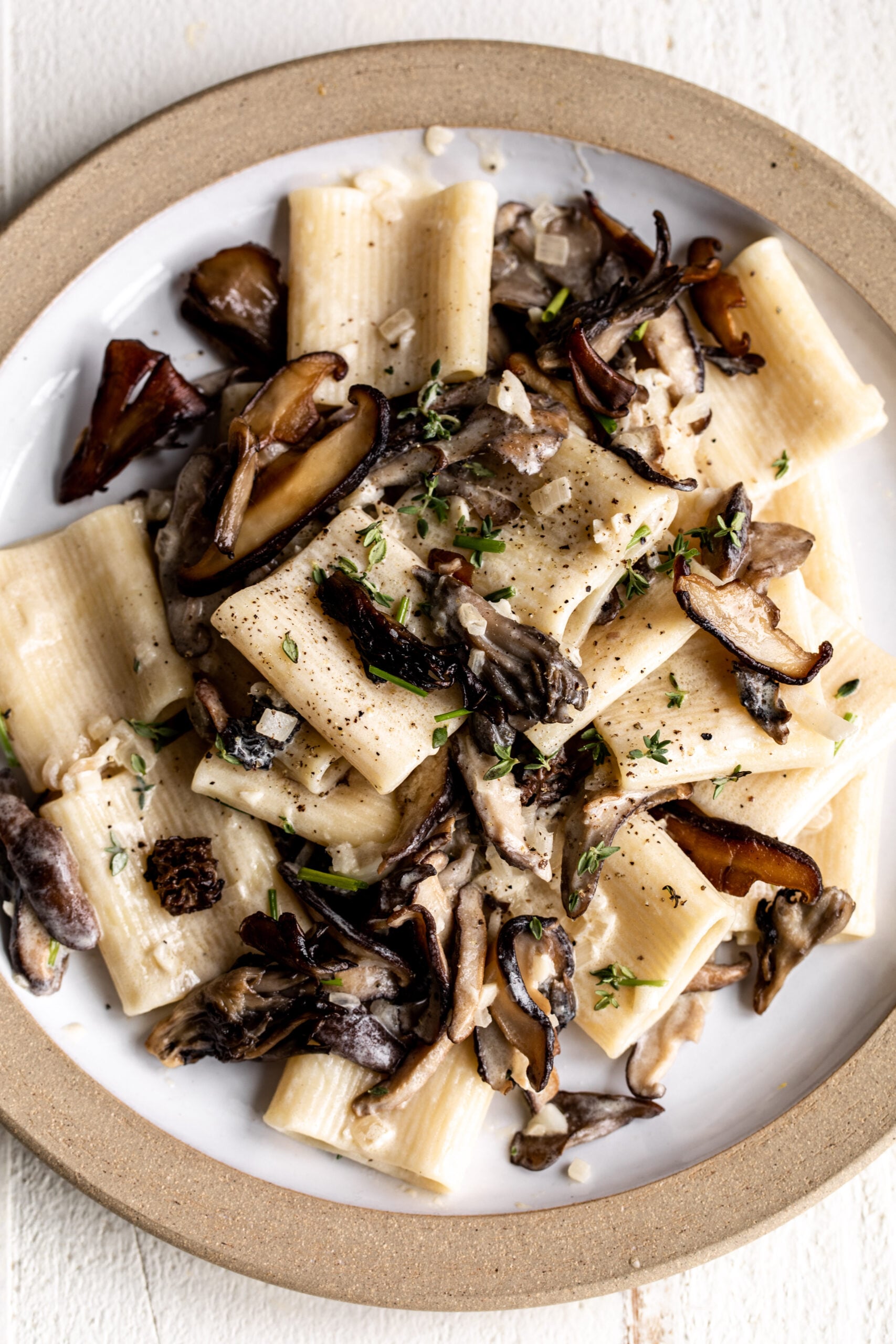 mushroom alfredo pasta with paccheri rigate and chives.