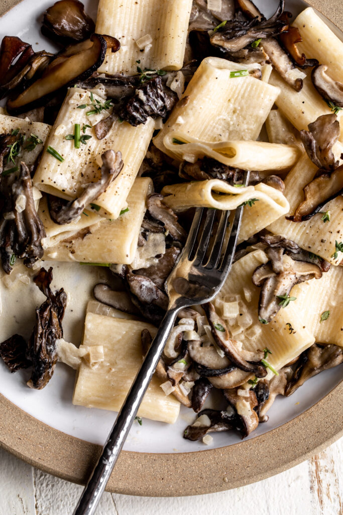 mushroom alfredo pasta recipe 