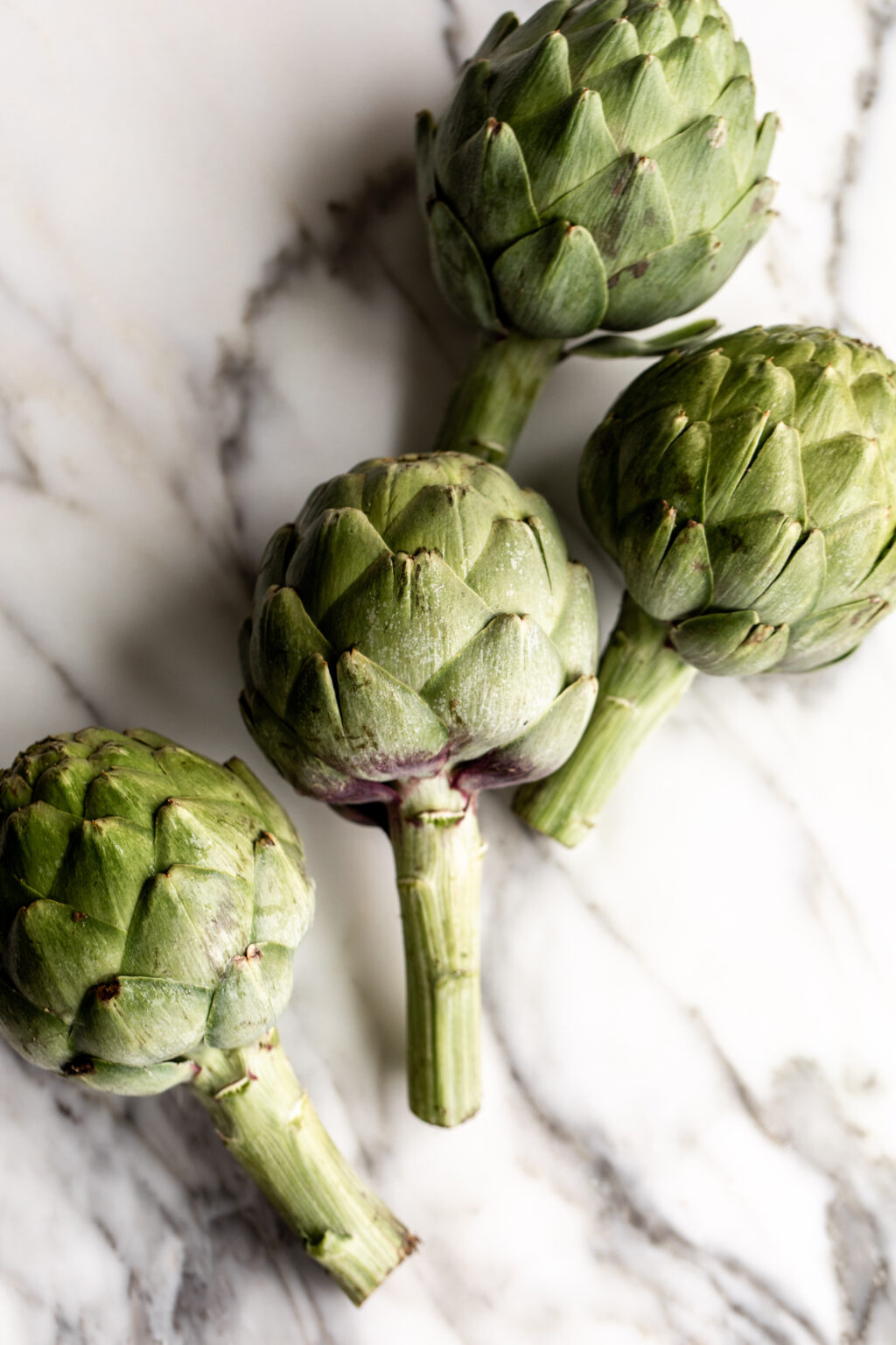 Grilled Artichoke with Lemon Vinaigrette, Cheese, Garlic