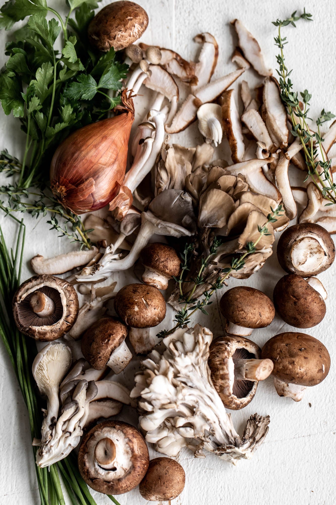 mixed wild mushrooms for creamy mushroom toast.