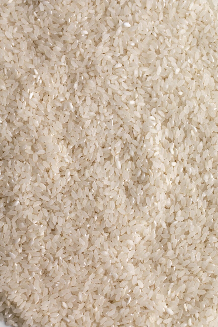 short grain sushi rice.