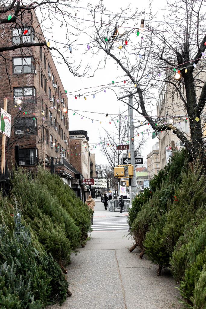 christmas trees on NYC streets