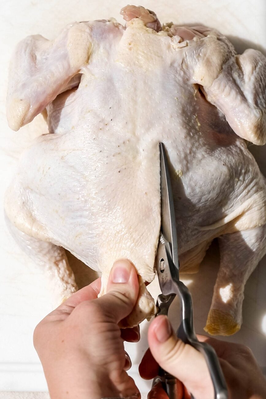 how to spatchcock a chicken remove backbone.