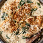 cheesy spinach artichoke chicken breasts with breadcrumb topping.