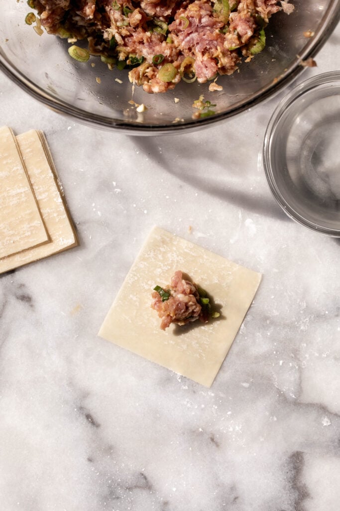 how to fold pork wontons.