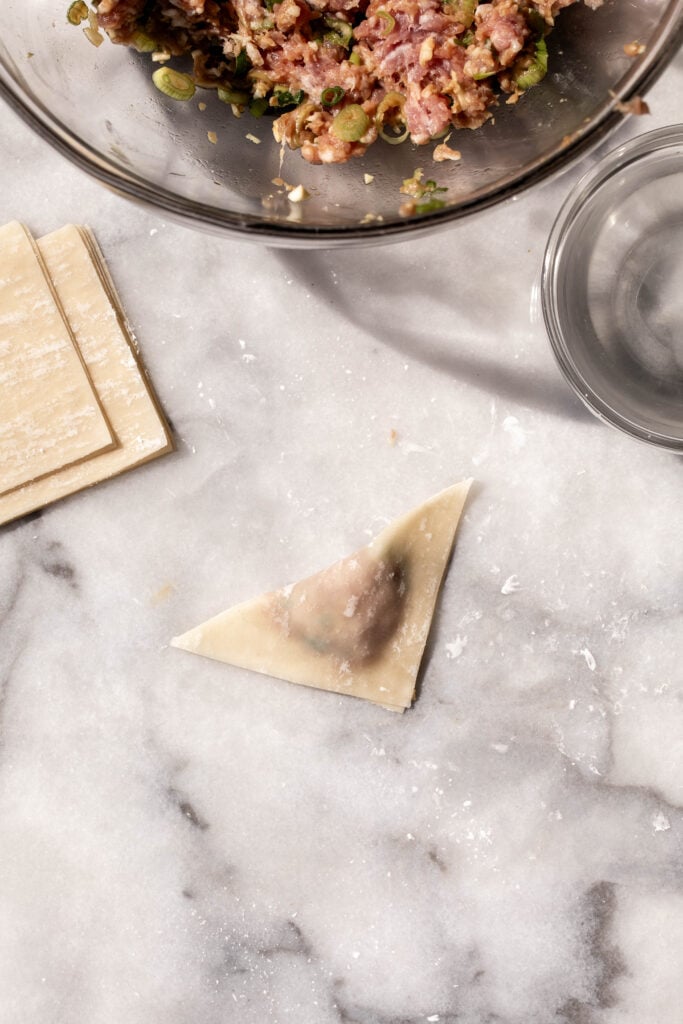 wrapped pork wontons on marble.