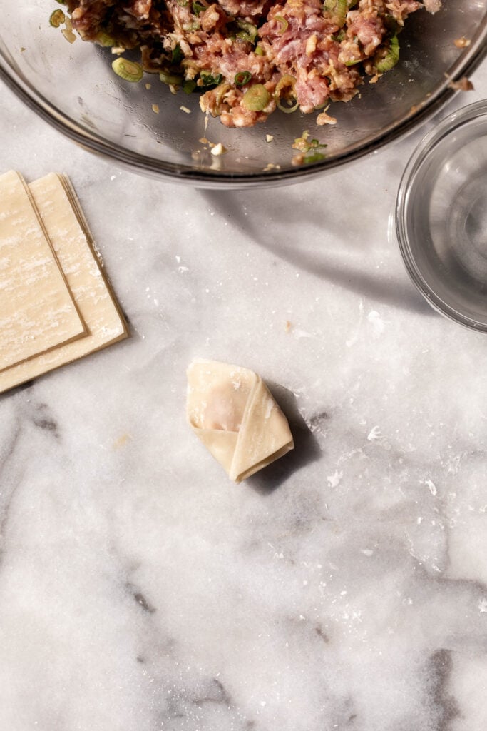 wrappers and pork polded wontons.