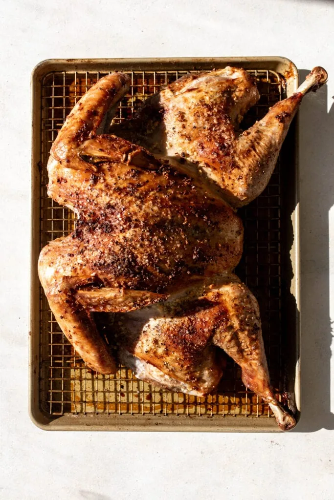 roasted spatchcock turkey