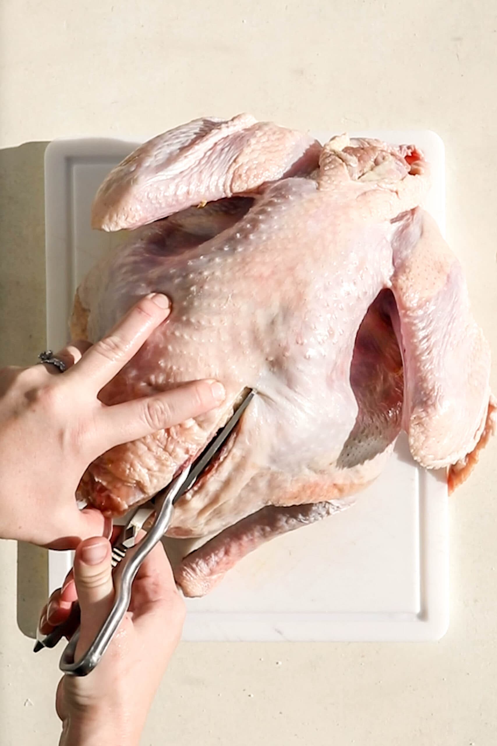 how to spatchcock a whole turkey.