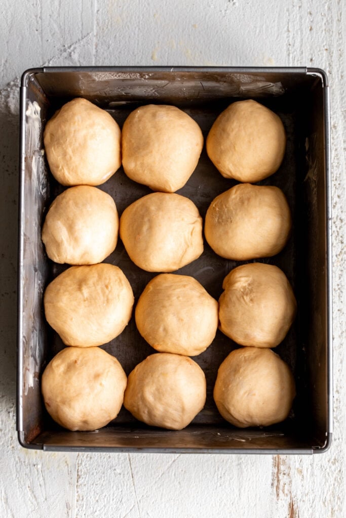 divided sweet potato dinner roll dough rolled in pan.