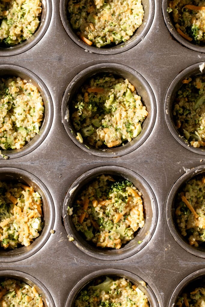 broccoli cheddar quinoa bites in mini muffin tins.