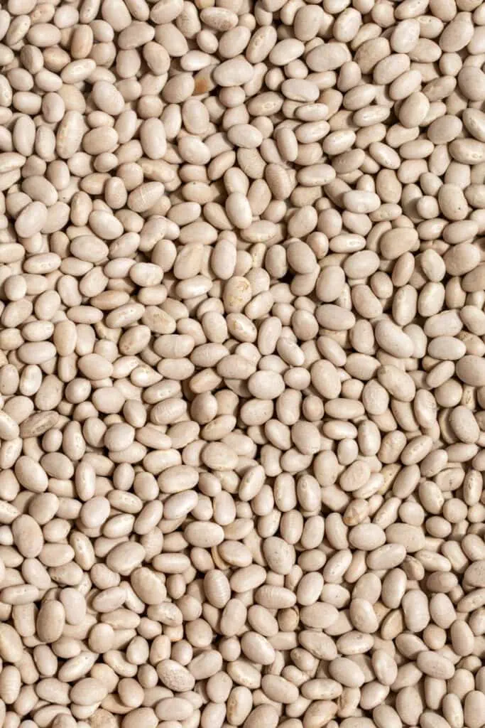 soaked beans for best baked beans recipe.