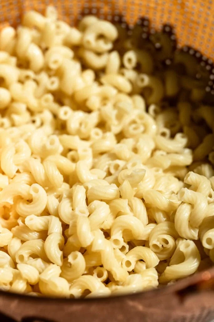 macaroni pasta.