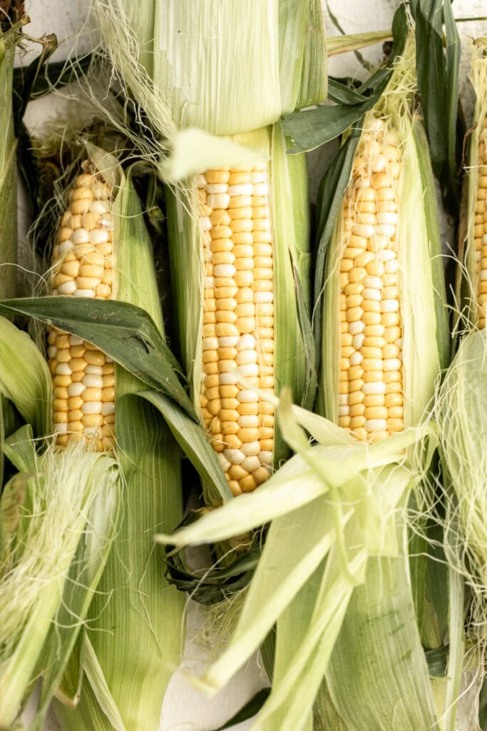 ears of corn with husks pulled back.