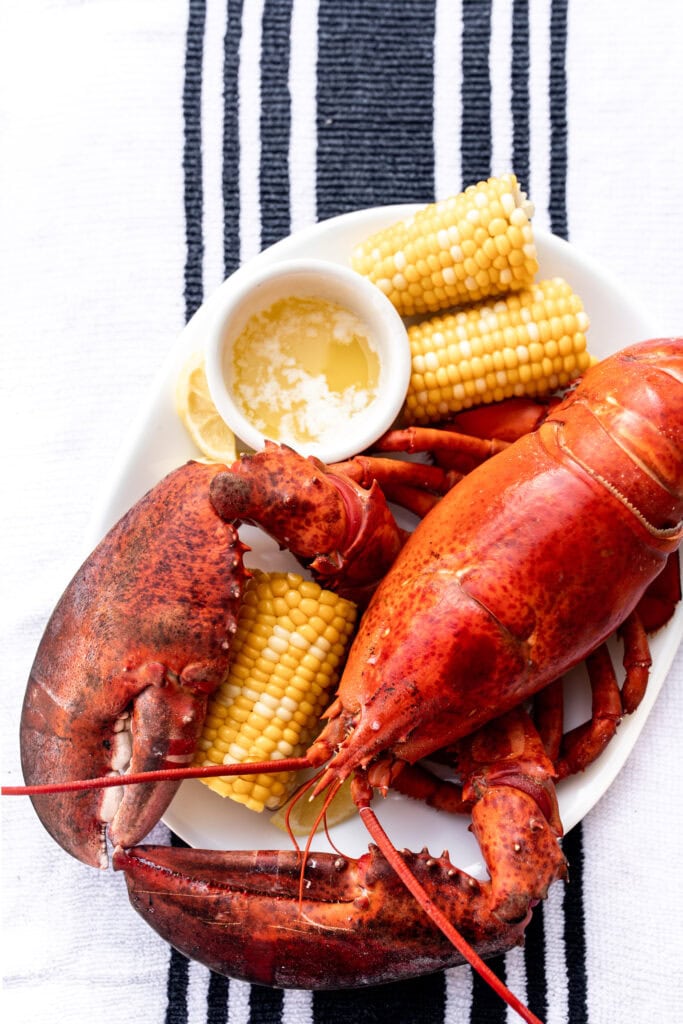 whole cooked lobster on platter with corn and drawn butter.