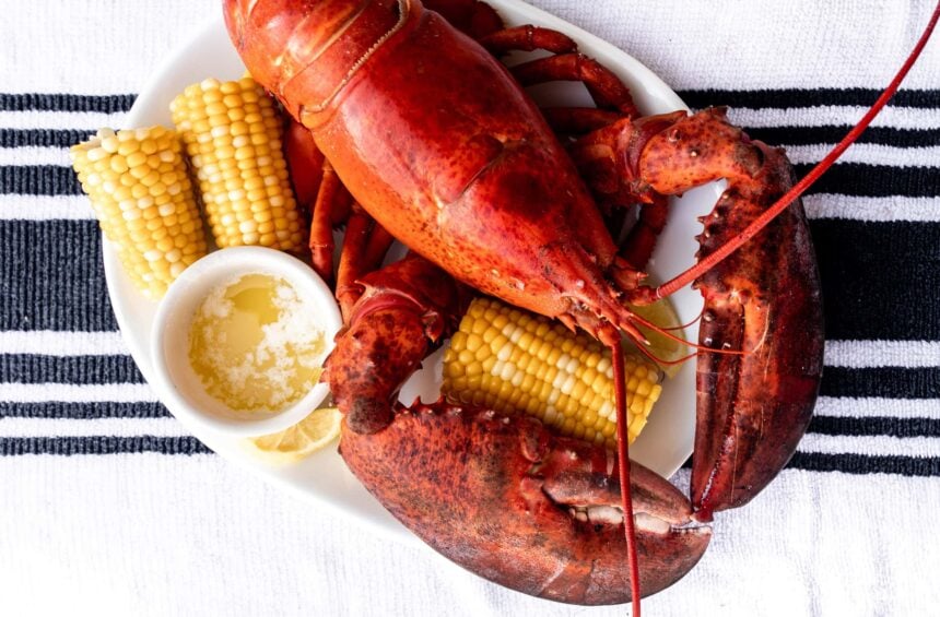 whole cooked maine lobster with corn and drawn butter.