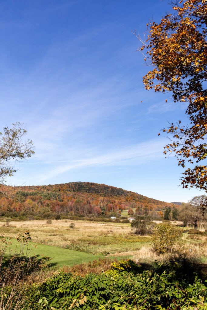 Stunning fall foliage in Burlington, VT during peak leaf-peeping season.