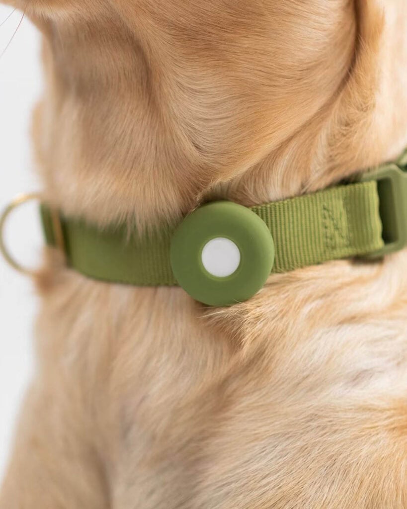 Awoo Fetch Dog Collar Holder.