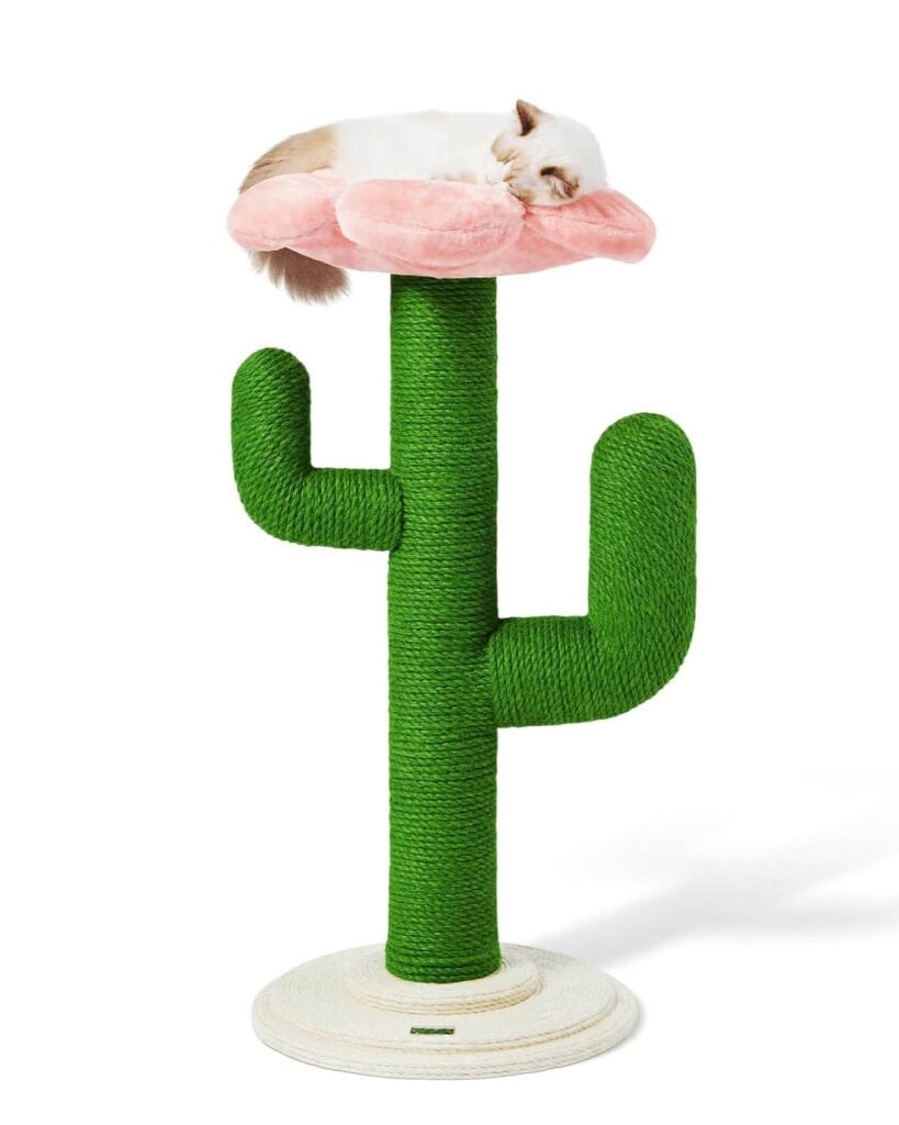 Cactus Scratching Post