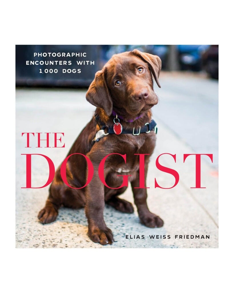 The Dogist.