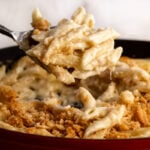 the best baked mac and cheese recipe made with penne pasta scoop.