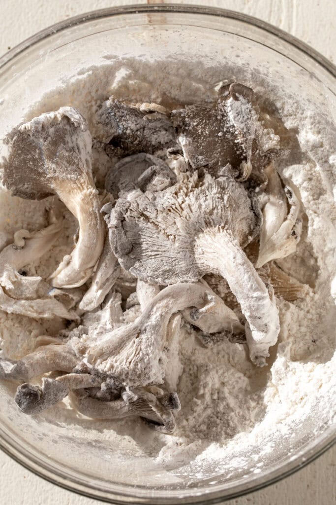 dredge for oyster mushrooms.