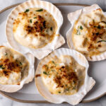scallops au gratin saint jaques on scallop shells garnished with tarragon.