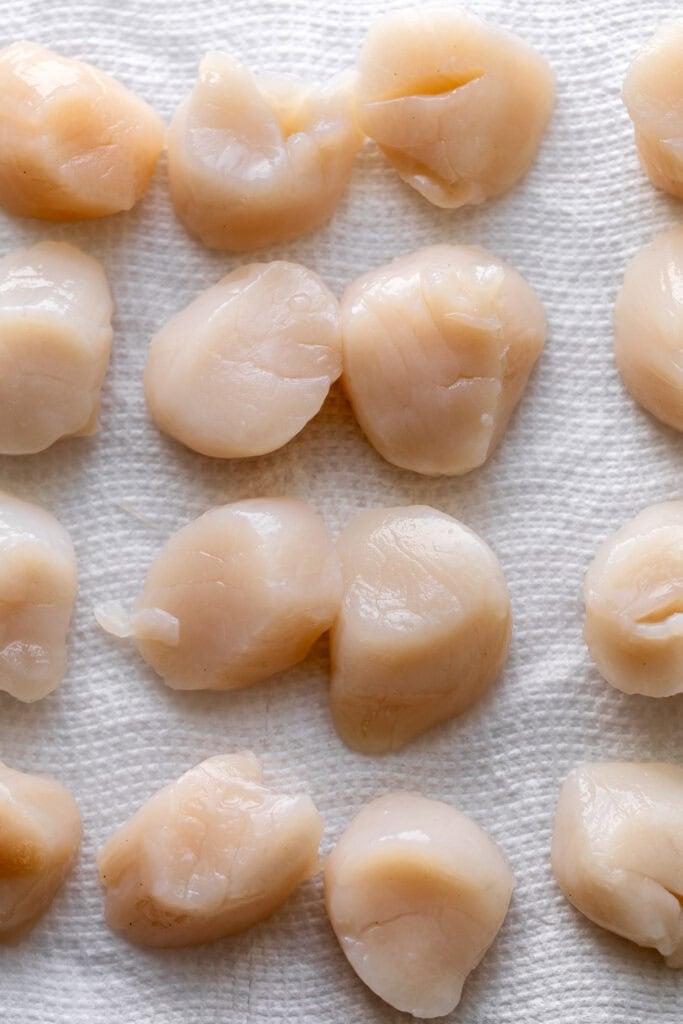 sea scallops dried on paper towels.