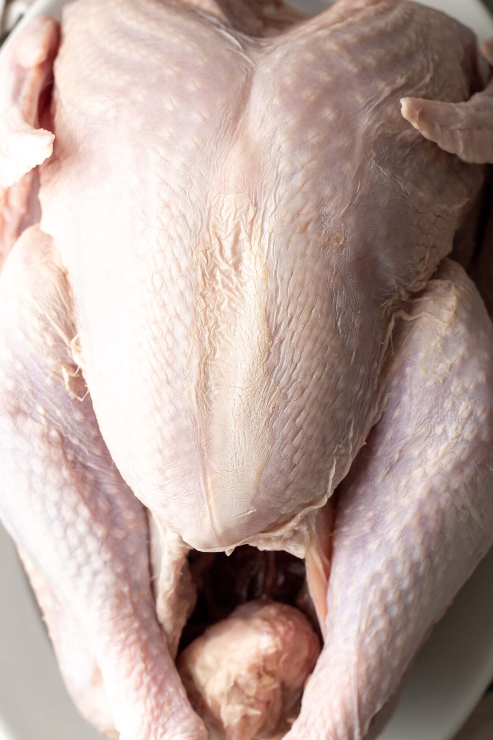 salted turkey for dry brine.