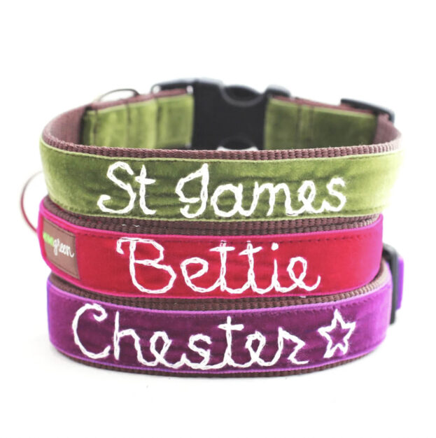 custom embroidered dog collars.