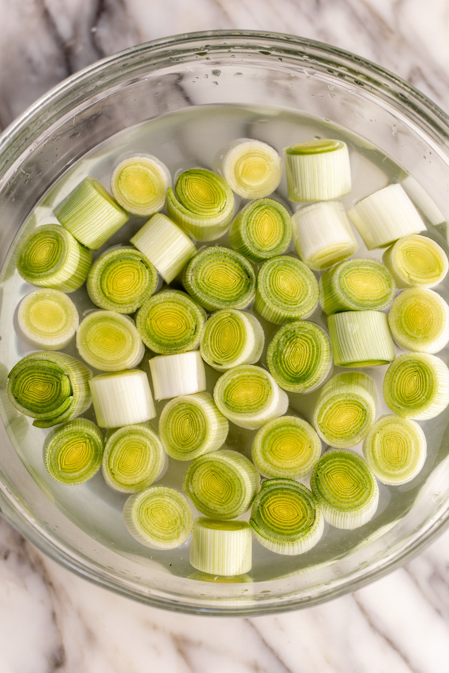 rounds of trimmed leeks soaked in a bowl of water.