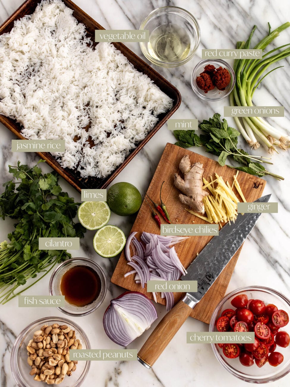 Thai Baked Crispy Rice Salad (Nam Khao Tod) labeled ingredients.