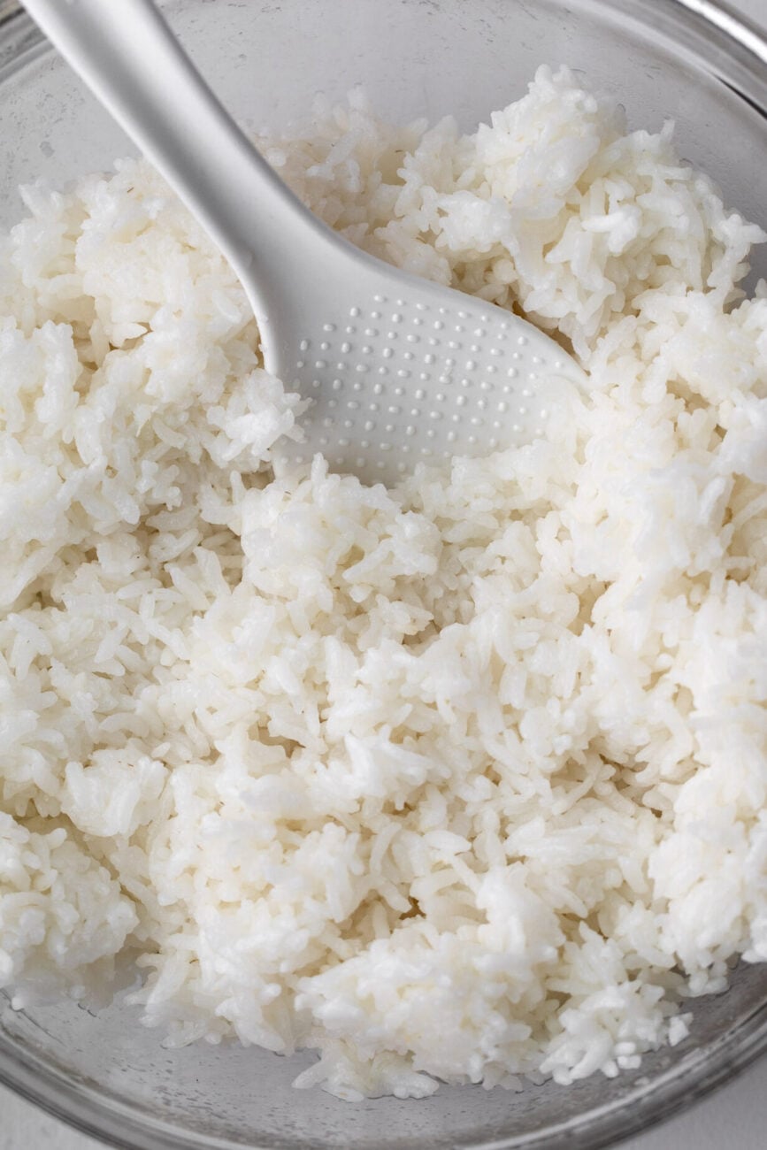 cooked sushi rice with paddle.