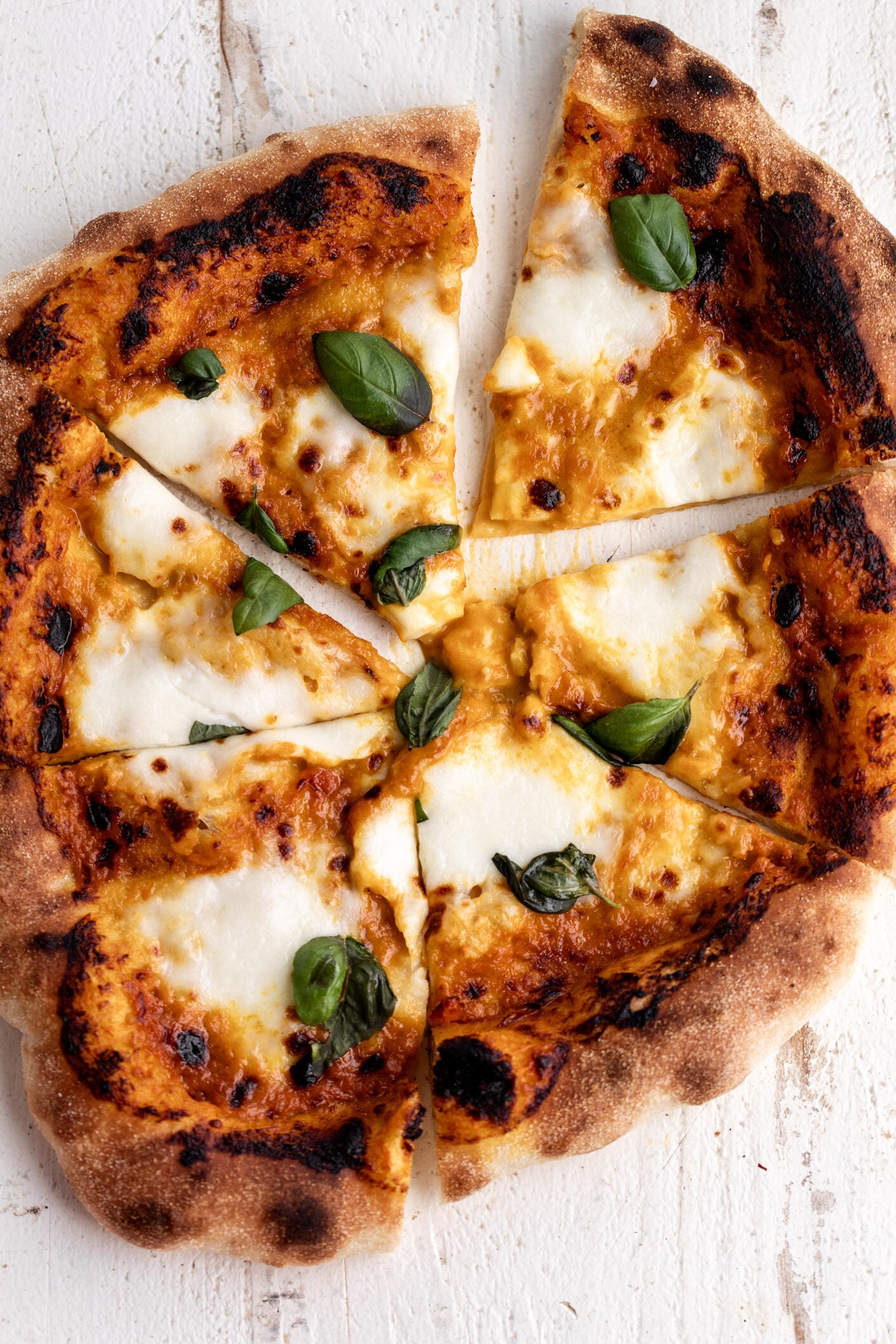 sungold tomato pizza with mozzarella and basil. 
