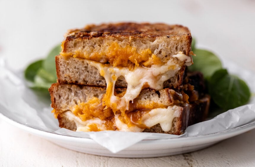 butternut squash grilled cheese with caramelized onions on sourdough.